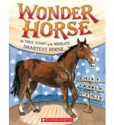 Cover of Wonder horse