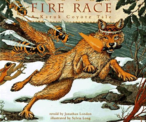 Cover of Fire Race
